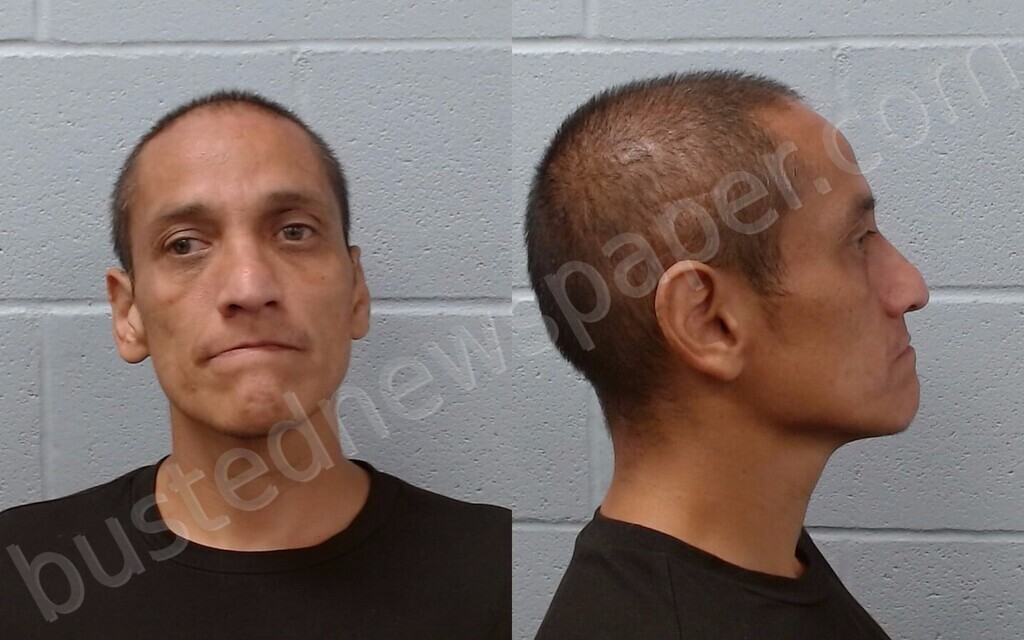 ALANIZ, MARK #, Hays County, Texas - 2026-05-28
