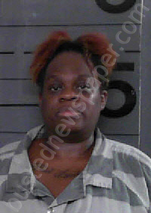 STONE, SHAUNA RENE #, Chambers County, Alabama - 2026-05-29