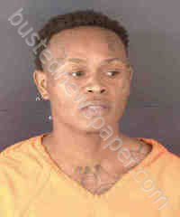 HIGDON, DENZEL #, Sarasota County, Florida - 2026-05-29