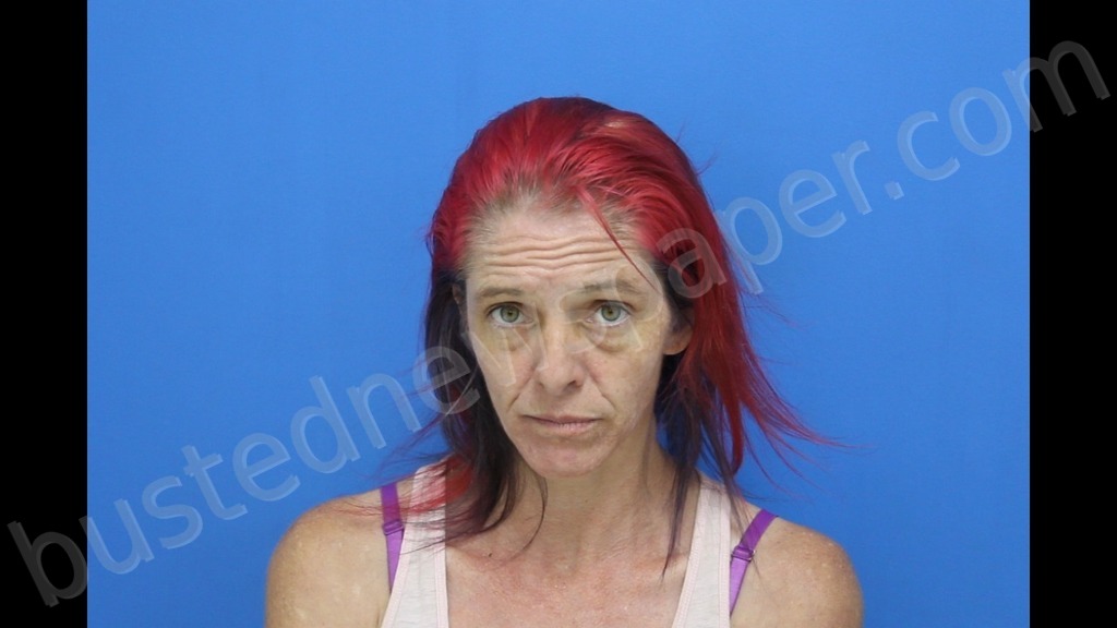 RICHIE, ROZELLA MICHELLE #, Catawba County, North Carolina - 2026-05-29