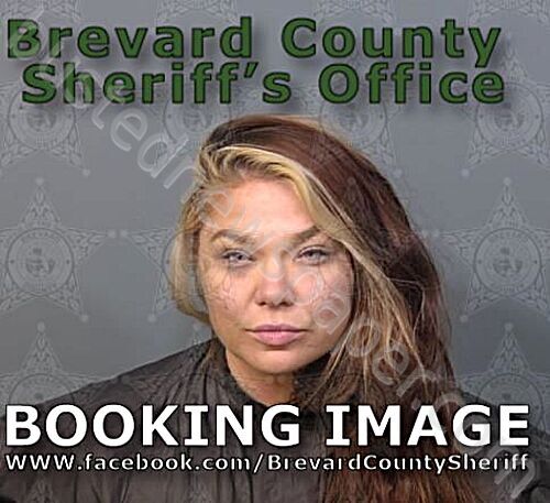 DOWNING, BROOKE #, Brevard County, Florida - 2026-05-31 03:03:00