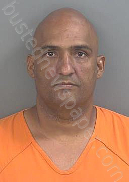 COLONTABOADA,PANTER #, Collier County, Florida - 2026-06-02