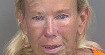ARNOLD,ANNE DE SAUSSURE | 2026-06-02 Collier County, Florida Booking
