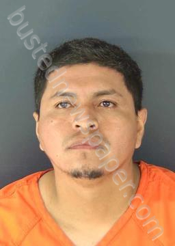 ALBERTO RODRIGUEZ, LUIS #, Sarasota County, Florida - 2026-06-04
