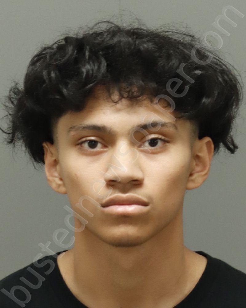 ANARDO, ANDRES ELIAS #, Wake County, North Carolina - 2026-06-04 15:00:00