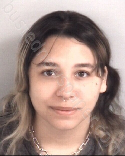 BULLARD, TINA SHANIA #, Cumberland County, North Carolina - 2026-06-05