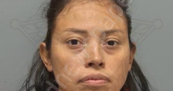<B>RIVERA</B> <B>ALVARENGA</B>, <B>STEPHANIE</B> <B>MITCHELL</B> #, Lee County, Florida - 2026-06-05 12:03:00