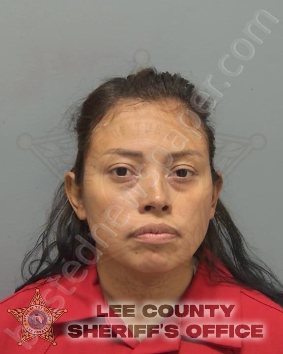 RIVERA ALVARENGA, STEPHANIE MITCHELL #, Lee County, Florida - 2026-06-05 12:03:00